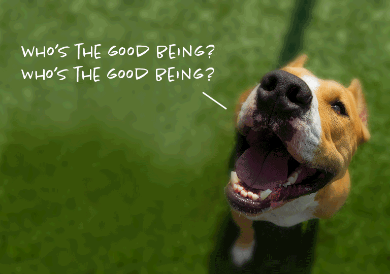 Dog Looking Up E-Card